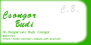 csongor budi business card